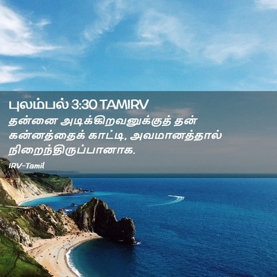 Picture 02 - புலம்பல் 3:30 TAMIRV - தன்னை - Bible Verse Picture