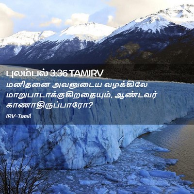 Picture 02 - புலம்பல் 3:36 TAMIRV - மனிதனை அவனுடைய - Bible Verse Picture