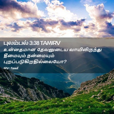Picture 02 - புலம்பல் 3:38 TAMIRV - உன்னதமான தேவனுடைய - Bible Verse Picture