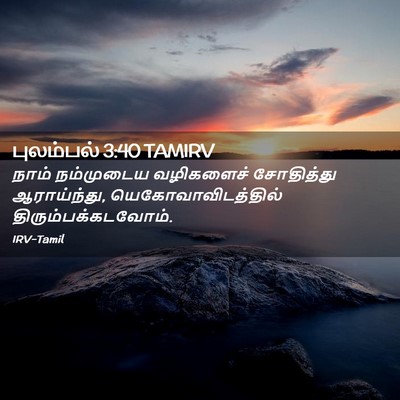 Picture 02 - புலம்பல் 3:40 TAMIRV - நாம் நம்முடைய - Bible Verse Picture