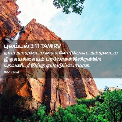 Picture 02 - புலம்பல் 3:41 TAMIRV - நாம் நம்முடைய - Bible Verse Picture