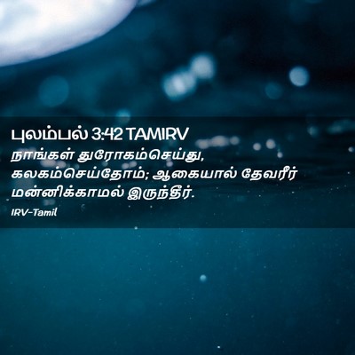 Picture 02 - புலம்பல் 3:42 TAMIRV - நாங்கள் - Bible Verse Picture