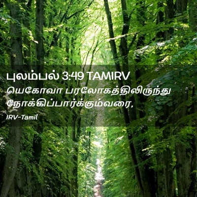 Picture 02 - புலம்பல் 3:49 TAMIRV - யெகோவா - Bible Verse Picture