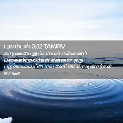 Picture 02 - புலம்பல் 3:52 TAMIRV - காரணமே இல்லாமல் - Bible Verse Picture