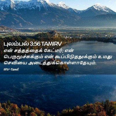 Picture 02 - புலம்பல் 3:56 TAMIRV - என் சத்தத்தைக் - Bible Verse Picture