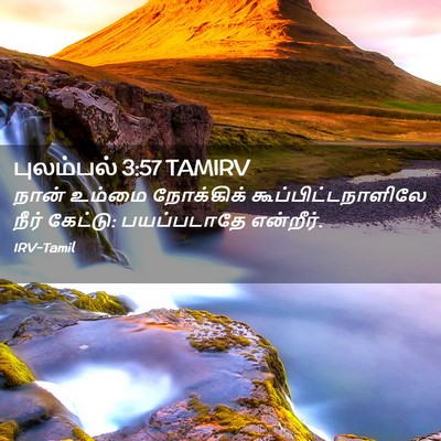 Picture 02 - புலம்பல் 3:57 TAMIRV - நான் உம்மை - Bible Verse Picture
