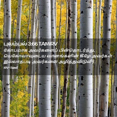 Picture 02 - புலம்பல் 3:66 TAMIRV - கோபமாக அவர்களைப் - Bible Verse Picture