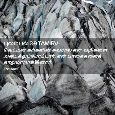 Picture 02 - புலம்பல் 3:9 TAMIRV - வெட்டின கற்களின் - Bible Verse Picture