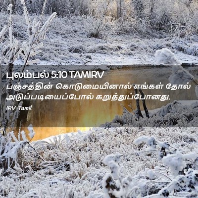 Picture 02 - புலம்பல் 5:10 TAMIRV - பஞ்சத்தின் - Bible Verse Picture