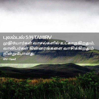 Picture 02 - புலம்பல் 5:14 TAMIRV - முதியோர்கள் - Bible Verse Picture