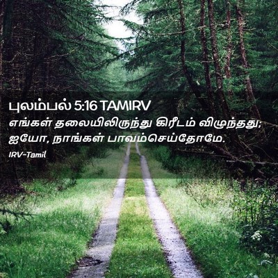 Picture 02 - புலம்பல் 5:16 TAMIRV - எங்கள் - Bible Verse Picture