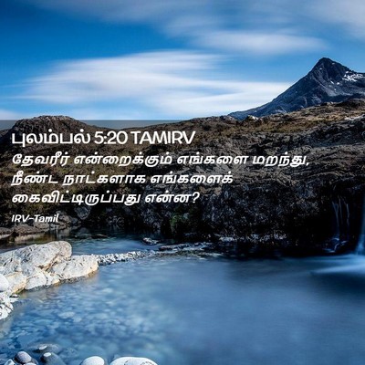 Picture 02 - புலம்பல் 5:20 TAMIRV - தேவரீர் - Bible Verse Picture