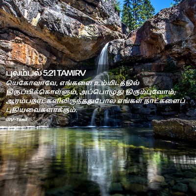 Picture 02 - புலம்பல் 5:21 TAMIRV - யெகோவாவே, எங்களை - Bible Verse Picture