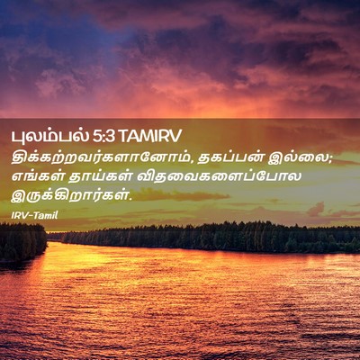 Picture 02 - புலம்பல் 5:3 TAMIRV -  - Bible Verse Picture