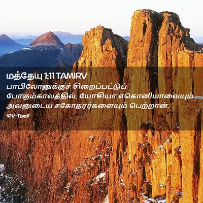 Picture 02 - மத்தேயு 1:11 TAMIRV - பாபிலோனுக்குச் - Bible Verse Picture