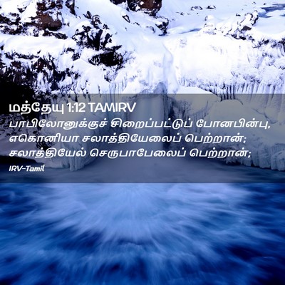 Picture 02 - மத்தேயு 1:12 TAMIRV - பாபிலோனுக்குச் - Bible Verse Picture