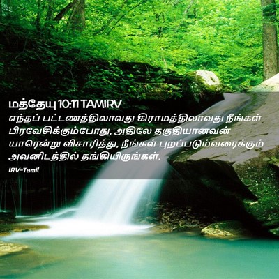 Picture 02 - மத்தேயு 10:11 TAMIRV - எந்தப் - Bible Verse Picture
