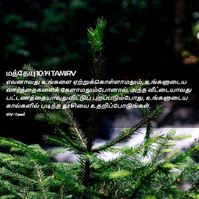 Picture 02 - மத்தேயு 10:14 TAMIRV - எவனாவது உங்களை - Bible Verse Picture