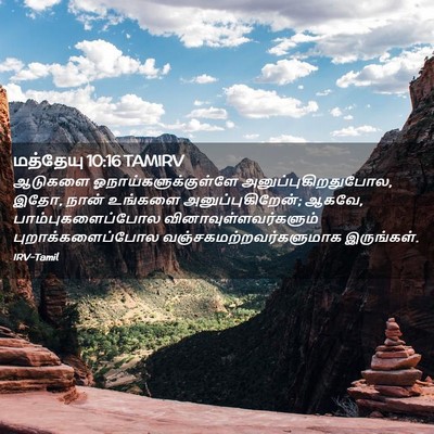 Picture 02 - மத்தேயு 10:16 TAMIRV - ஆடுகளை - Bible Verse Picture