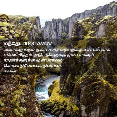 Picture 02 - மத்தேயு 10:18 TAMIRV - அவர்களுக்கும் - Bible Verse Picture