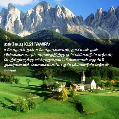 Picture 02 - மத்தேயு 10:21 TAMIRV - சகோதரன் தன் - Bible Verse Picture