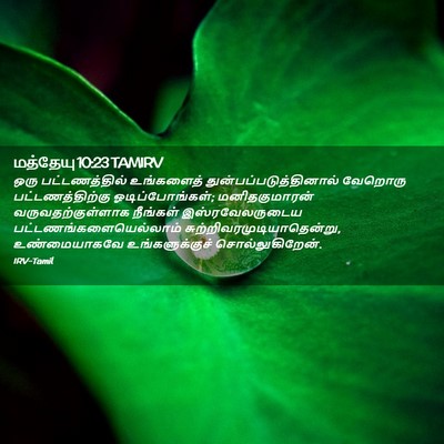 Picture 02 - மத்தேயு 10:23 TAMIRV - ஒரு பட்டணத்தில் - Bible Verse Picture