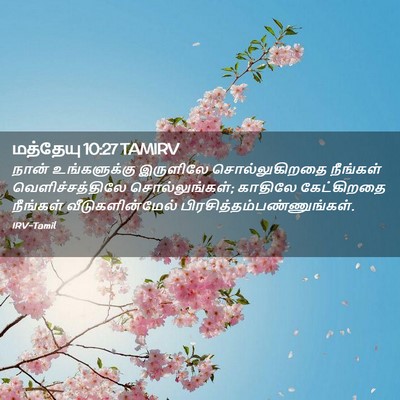 Picture 02 - மத்தேயு 10:27 TAMIRV - நான் உங்களுக்கு - Bible Verse Picture