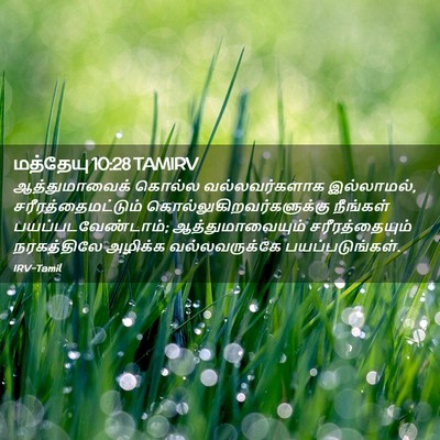 Picture 02 - மத்தேயு 10:28 TAMIRV - ஆத்துமாவைக் கொல்ல - Bible Verse Picture