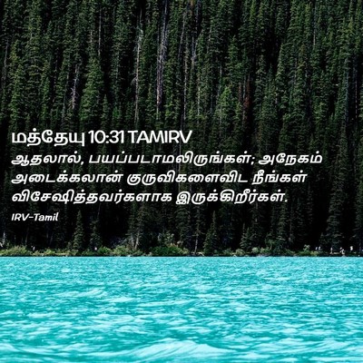 Picture 02 - மத்தேயு 10:31 TAMIRV - ஆதலால், - Bible Verse Picture