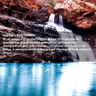 Picture 02 - மத்தேயு 10:42 TAMIRV - சீடன் என்னும் - Bible Verse Picture