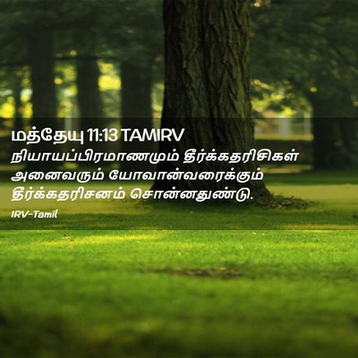 Picture 02 - மத்தேயு 11:13 TAMIRV -  - Bible Verse Picture