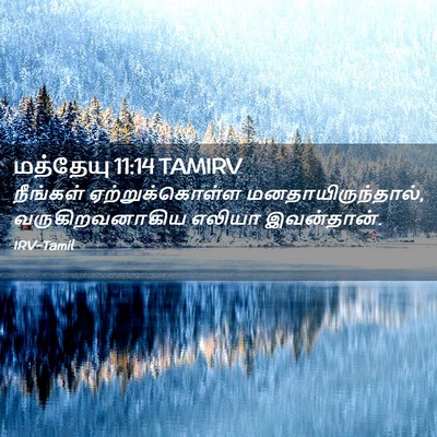 Picture 02 - மத்தேயு 11:14 TAMIRV - நீங்கள் - Bible Verse Picture