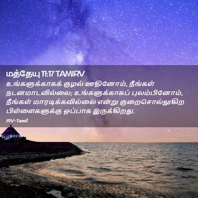 Picture 02 - மத்தேயு 11:17 TAMIRV - உங்களுக்காகக் - Bible Verse Picture