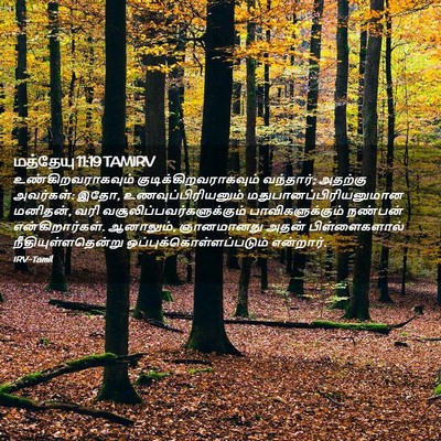 Picture 02 - மத்தேயு 11:19 TAMIRV - உண்கிறவராகவும் - Bible Verse Picture