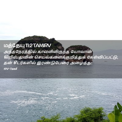 Picture 02 - மத்தேயு 11:2 TAMIRV - அந்தநேரத்தில் - Bible Verse Picture