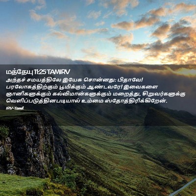 Picture 02 - மத்தேயு 11:25 TAMIRV - அந்தச் சமயத்திலே - Bible Verse Picture