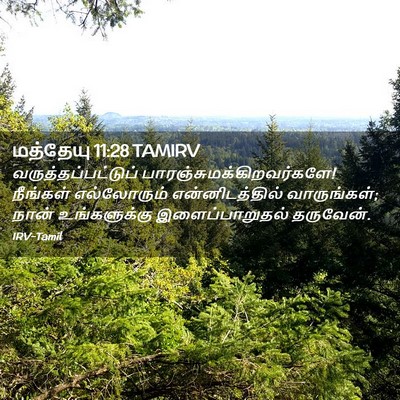 Picture 02 - மத்தேயு 11:28 TAMIRV - வருத்தப்பட்டுப் - Bible Verse Picture