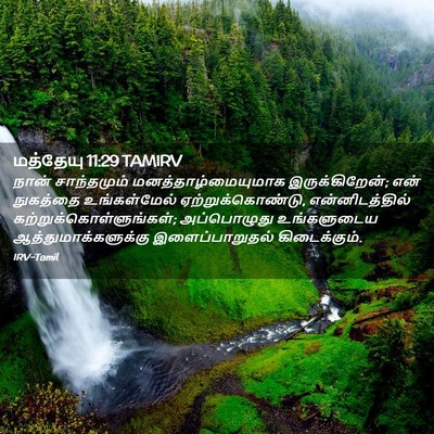 Picture 02 - மத்தேயு 11:29 TAMIRV - நான் சாந்தமும் - Bible Verse Picture