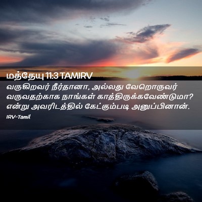Picture 02 - மத்தேயு 11:3 TAMIRV - வருகிறவர் - Bible Verse Picture