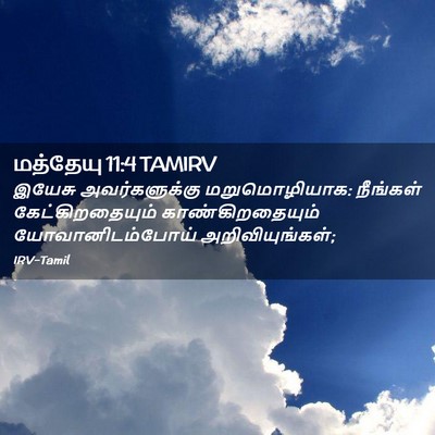 Picture 02 - மத்தேயு 11:4 TAMIRV - இயேசு அவர்களுக்கு - Bible Verse Picture