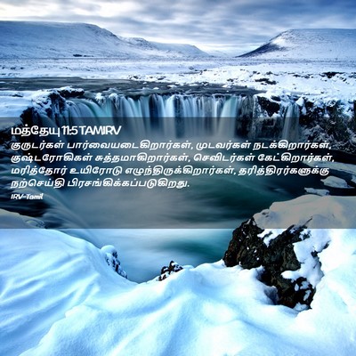 Picture 02 - மத்தேயு 11:5 TAMIRV - குருடர்கள் - Bible Verse Picture