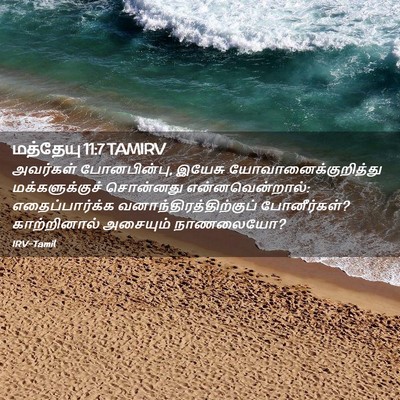 Picture 02 - மத்தேயு 11:7 TAMIRV - அவர்கள் - Bible Verse Picture