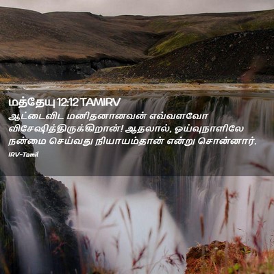 Picture 02 - மத்தேயு 12:12 TAMIRV - ஆட்டைவிட - Bible Verse Picture