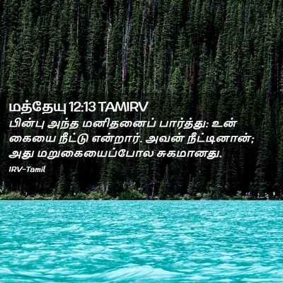 Picture 02 - மத்தேயு 12:13 TAMIRV - பின்பு அந்த - Bible Verse Picture