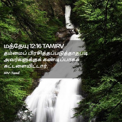 Picture 02 - மத்தேயு 12:16 TAMIRV - தம்மைப் - Bible Verse Picture
