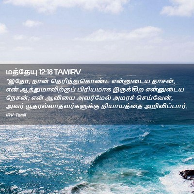 Picture 02 - மத்தேயு 12:18 TAMIRV - “இதோ, நான் - Bible Verse Picture