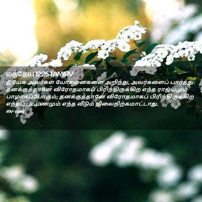 Picture 02 - மத்தேயு 12:25 TAMIRV - இயேசு அவர்கள் - Bible Verse Picture