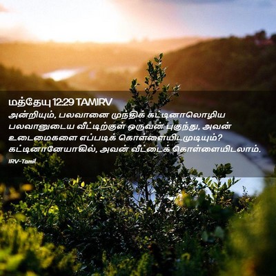 Picture 02 - மத்தேயு 12:29 TAMIRV - அன்றியும், பலவானை - Bible Verse Picture