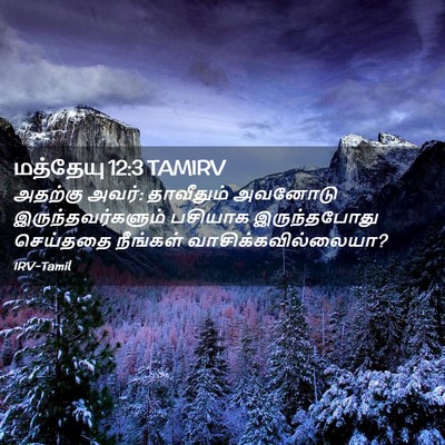 Picture 02 - மத்தேயு 12:3 TAMIRV - அதற்கு அவர்: - Bible Verse Picture