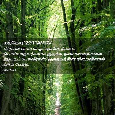 Picture 02 - மத்தேயு 12:34 TAMIRV - விரியன்பாம்புக் - Bible Verse Picture